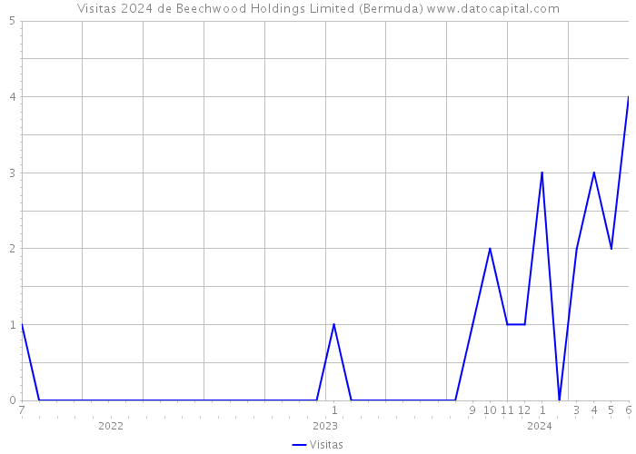 Visitas 2024 de Beechwood Holdings Limited (Bermuda) 