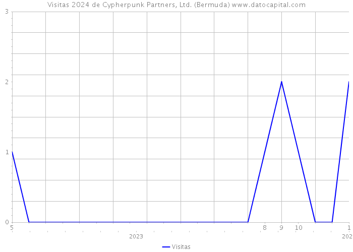 Visitas 2024 de Cypherpunk Partners, Ltd. (Bermuda) 