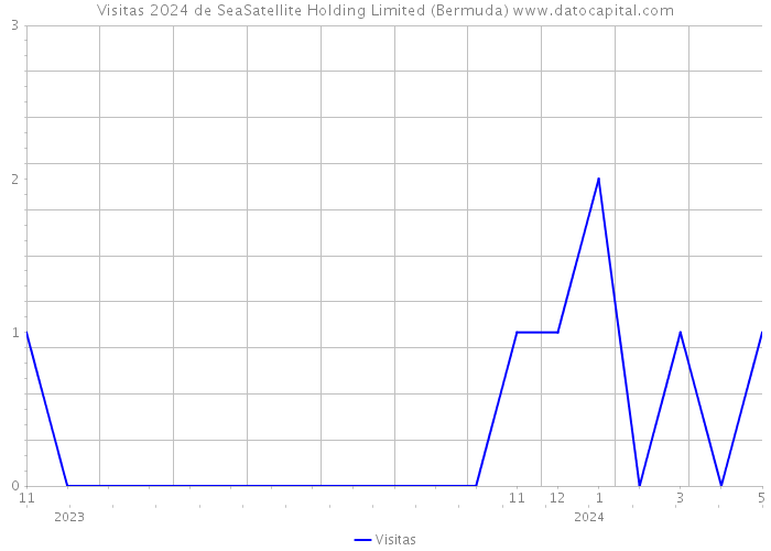 Visitas 2024 de SeaSatellite Holding Limited (Bermuda) 