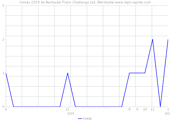 Visitas 2024 de Bermuda Triple Challenge Ltd. (Bermuda) 
