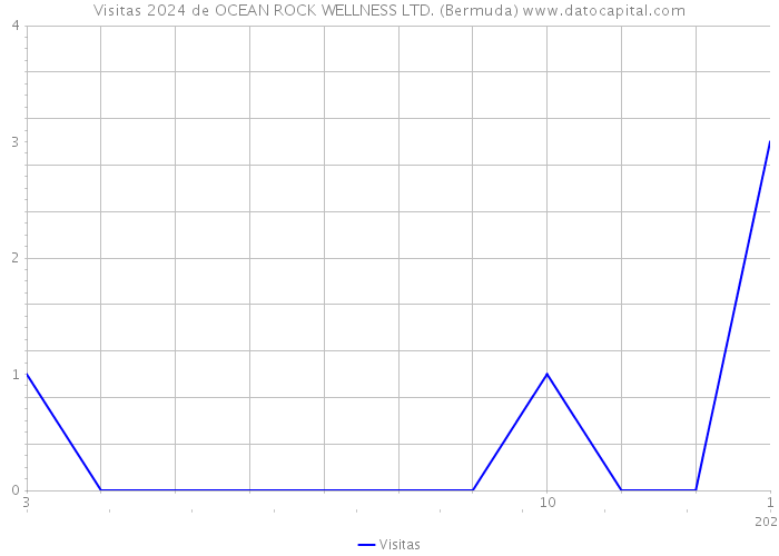 Visitas 2024 de OCEAN ROCK WELLNESS LTD. (Bermuda) 