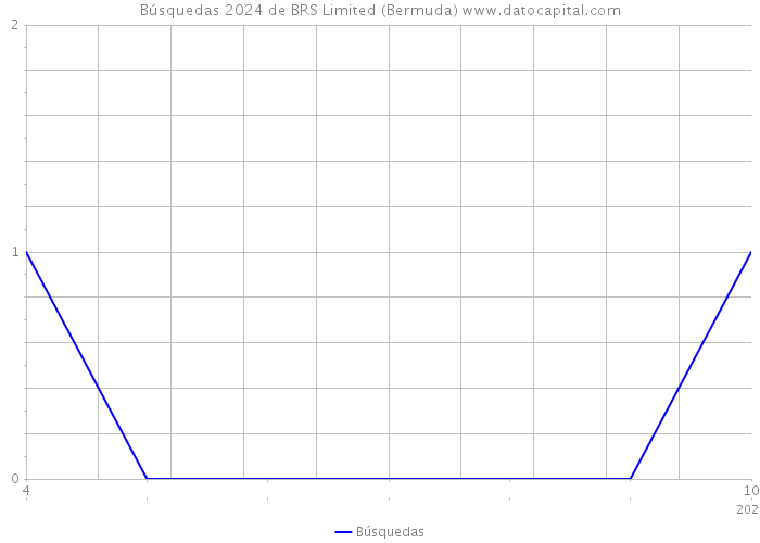 Búsquedas 2024 de BRS Limited (Bermuda) 