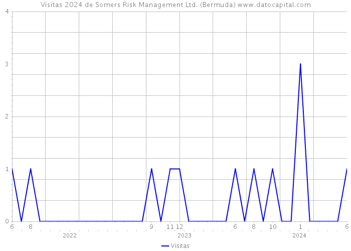 Visitas 2024 de Somers Risk Management Ltd. (Bermuda) 