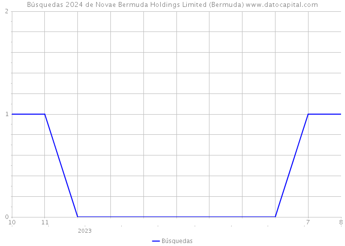 Búsquedas 2024 de Novae Bermuda Holdings Limited (Bermuda) 