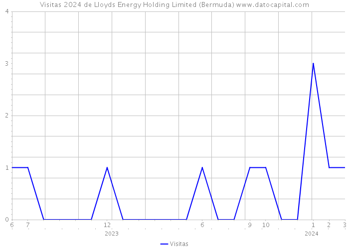 Visitas 2024 de Lloyds Energy Holding Limited (Bermuda) 