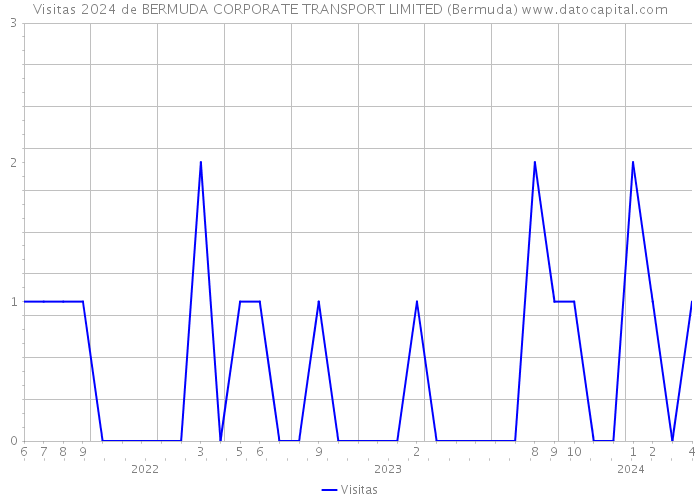 Visitas 2024 de BERMUDA CORPORATE TRANSPORT LIMITED (Bermuda) 