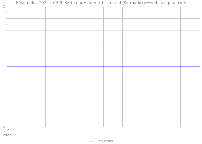 Búsquedas 2024 de BRP Bermuda Holdings III Limited (Bermuda) 