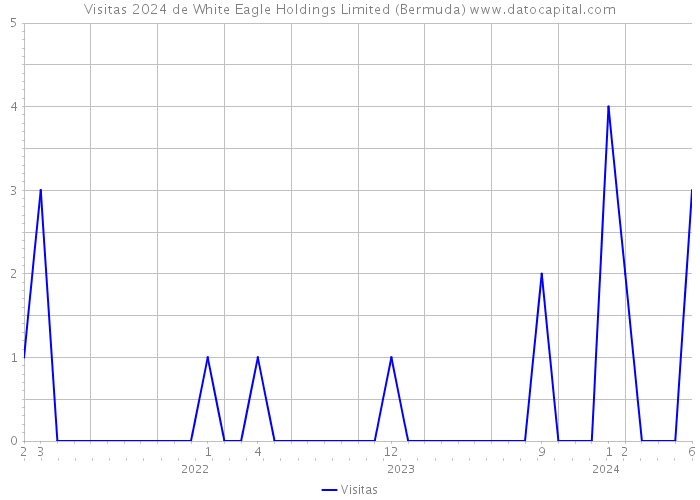 Visitas 2024 de White Eagle Holdings Limited (Bermuda) 