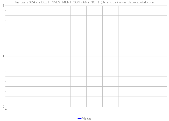 Visitas 2024 de DEBT INVESTMENT COMPANY NO. 1 (Bermuda) 
