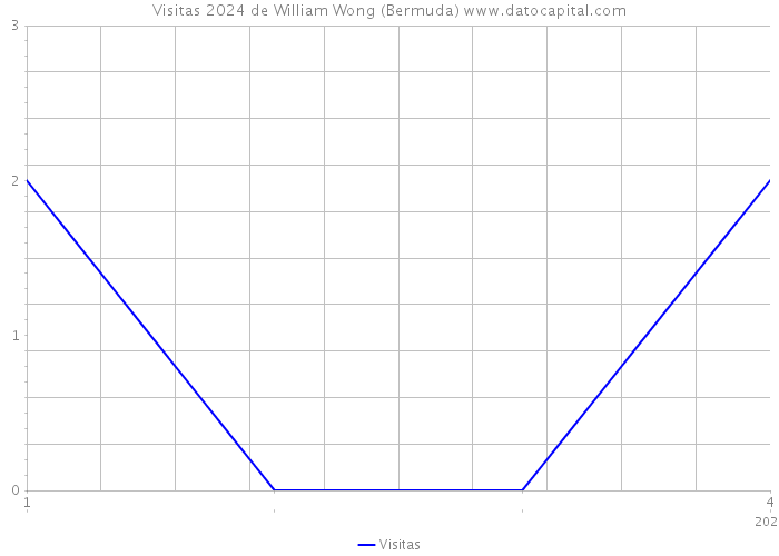 Visitas 2024 de William Wong (Bermuda) 