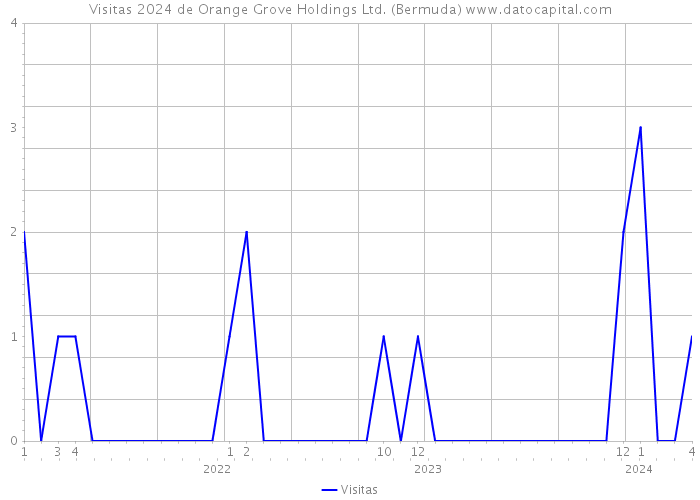 Visitas 2024 de Orange Grove Holdings Ltd. (Bermuda) 