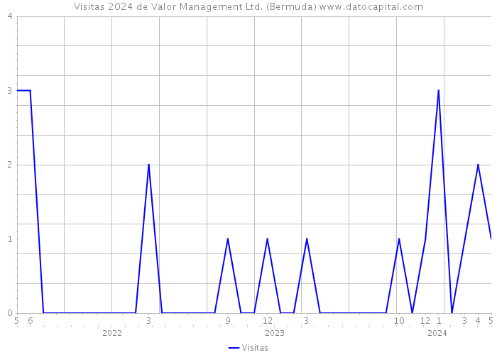 Visitas 2024 de Valor Management Ltd. (Bermuda) 