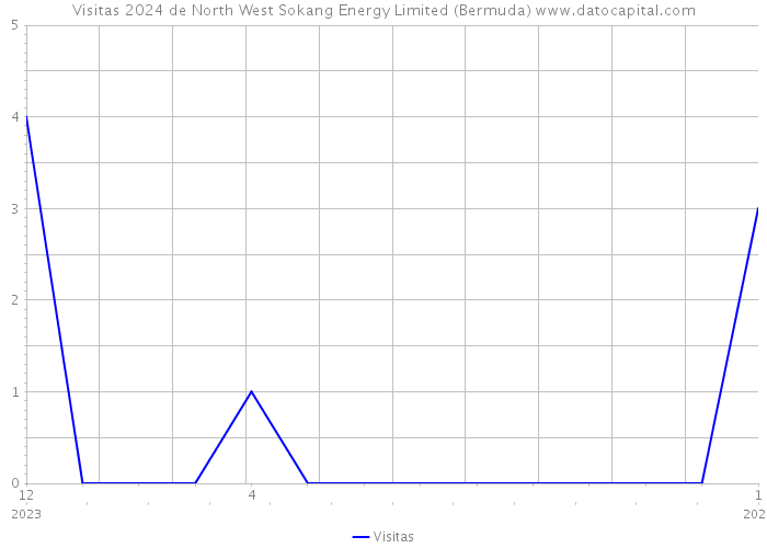 Visitas 2024 de North West Sokang Energy Limited (Bermuda) 
