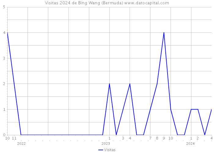 Visitas 2024 de Bing Wang (Bermuda) 