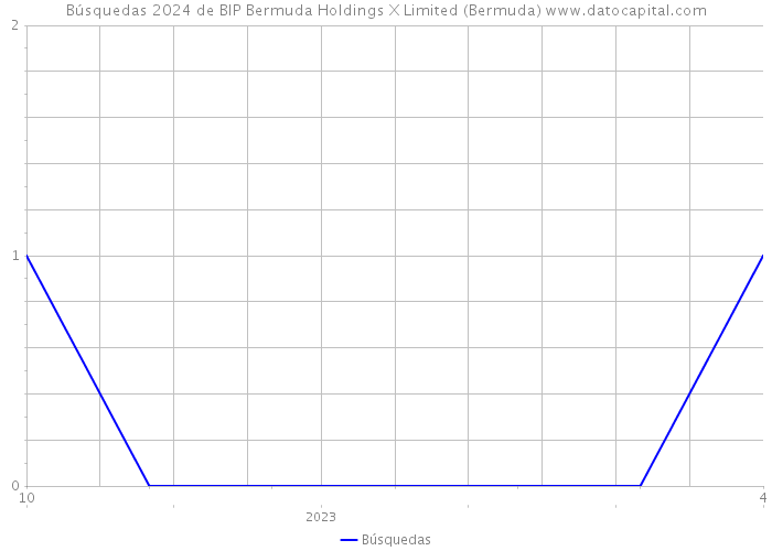 Búsquedas 2024 de BIP Bermuda Holdings X Limited (Bermuda) 