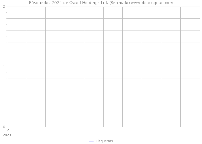 Búsquedas 2024 de Cycad Holdings Ltd. (Bermuda) 