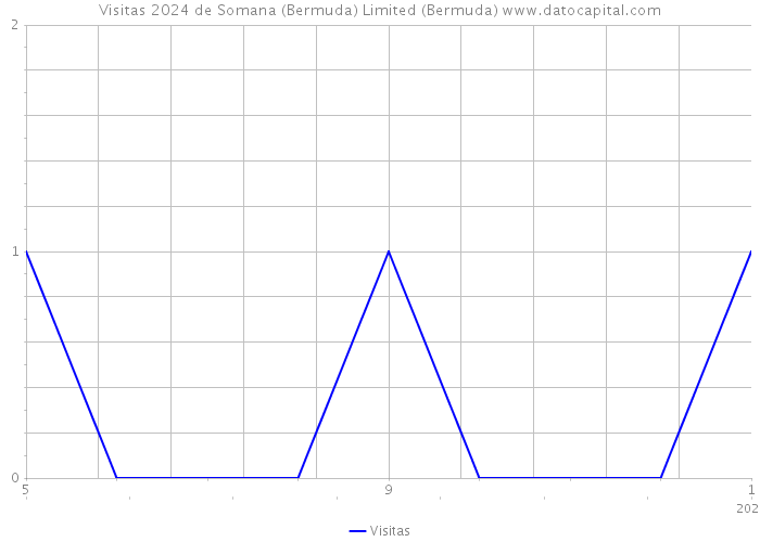 Visitas 2024 de Somana (Bermuda) Limited (Bermuda) 