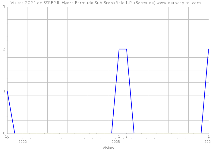 Visitas 2024 de BSREP III Hydra Bermuda Sub Brookfield L.P. (Bermuda) 
