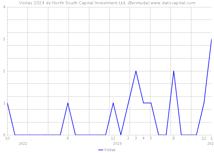 Visitas 2024 de North South Capital Investment Ltd. (Bermuda) 