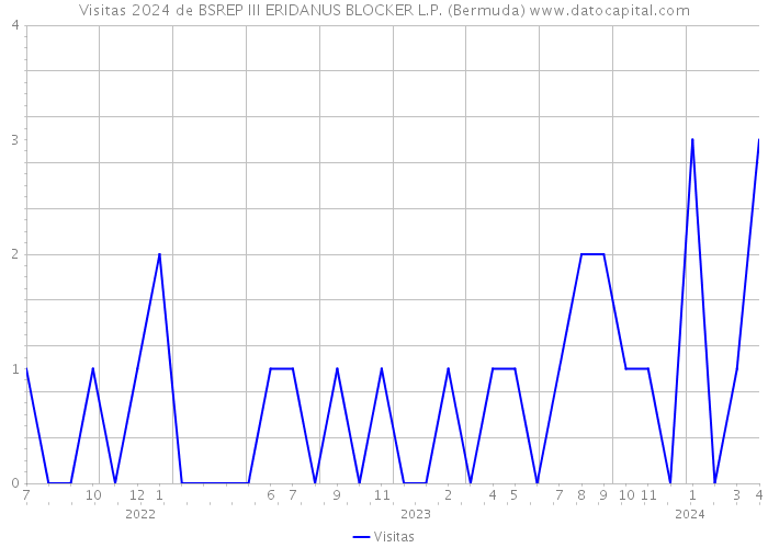 Visitas 2024 de BSREP III ERIDANUS BLOCKER L.P. (Bermuda) 