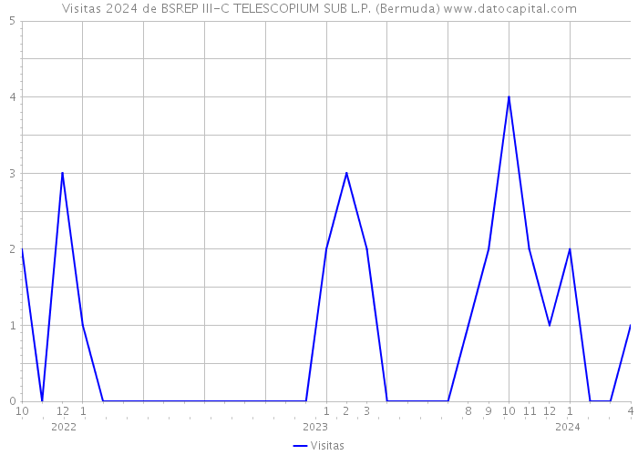 Visitas 2024 de BSREP III-C TELESCOPIUM SUB L.P. (Bermuda) 