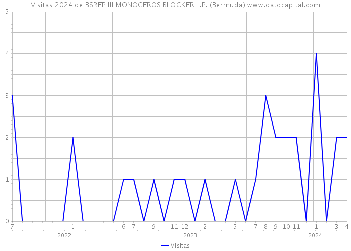 Visitas 2024 de BSREP III MONOCEROS BLOCKER L.P. (Bermuda) 