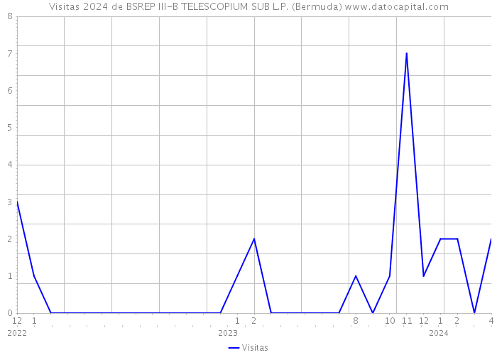 Visitas 2024 de BSREP III-B TELESCOPIUM SUB L.P. (Bermuda) 