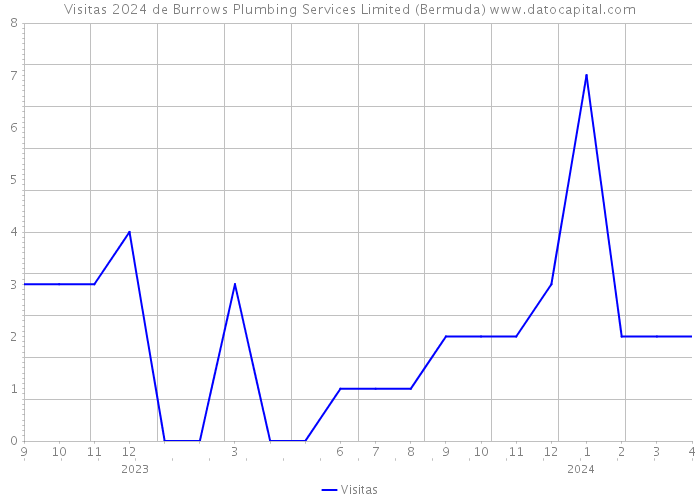 Visitas 2024 de Burrows Plumbing Services Limited (Bermuda) 